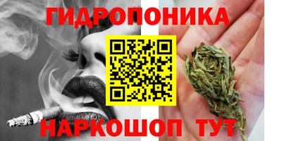 spice Партизанск